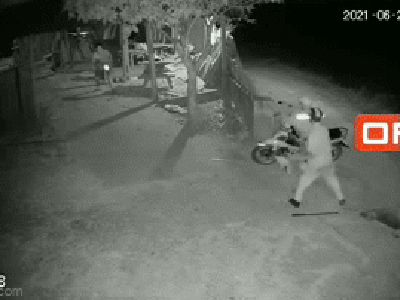 Trộm chó trong đêm bị chủ nhà bắt quả tang, 2 'cẩu tặc' không bỏ chạy mà quay ra tấn công khiến ai cũng bàng hoàng