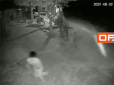 Trộm chó bị bắt quả tang, 2 'cẩu tặc' không bỏ chạy mà quay sang đánh trả chủ nhà đầy quyết liệt khiến người xem rùng mình