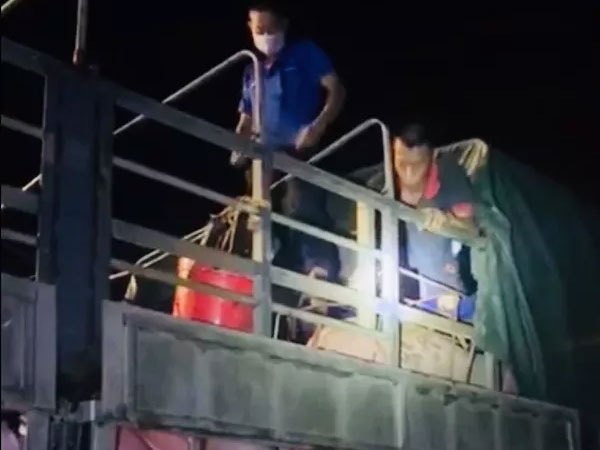 Phát hiện gần 20 người trốn trong xe tải chở lợn để qua chốt kiểm soát