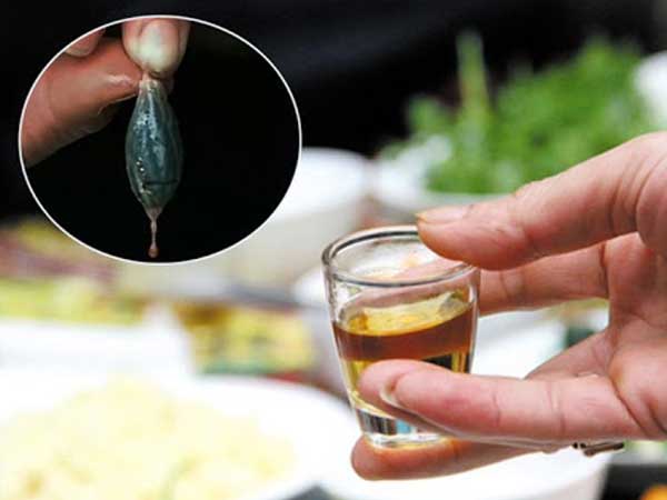 Một người đàn ông bị suy tạng sau khi nuốt mật cá chép: Chuyên gia khẳng định đây là bộ phận trong con cá không nên ăn!