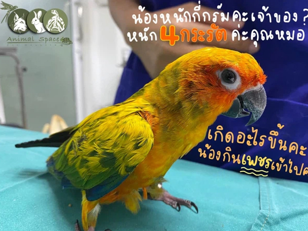 Ảnh bìa bài viết 767104