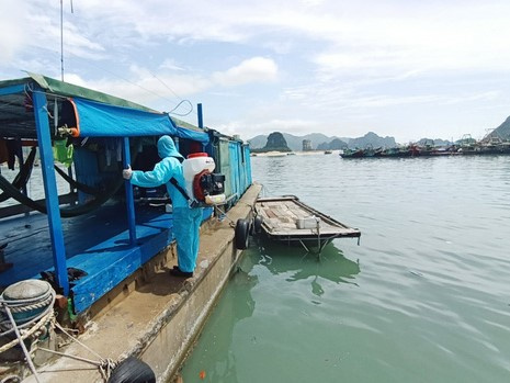 Quảng Ninh: Thêm 1 ca mắc Covid-19 là F1 của BN 12245