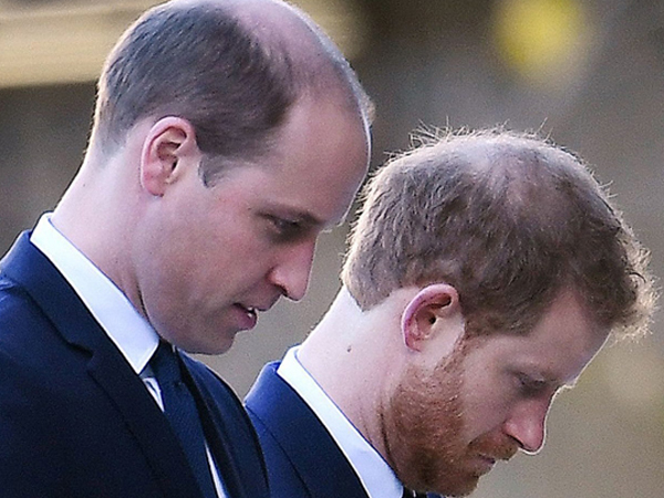 'William và Harry không làm hòa trước ngày dựng tượng mẹ'