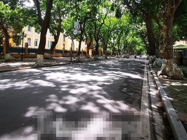Những 'thiên đường xanh' chỉ nhìn đã thấy mát lạnh giữa ngày nắng nóng Hà Nội