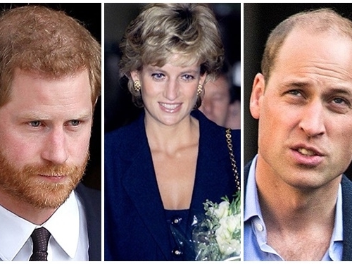Phản ứng của Hoàng tử William khi em trai Harry về nước chuẩn bị lễ tưởng niệm mẹ gây tranh cãi