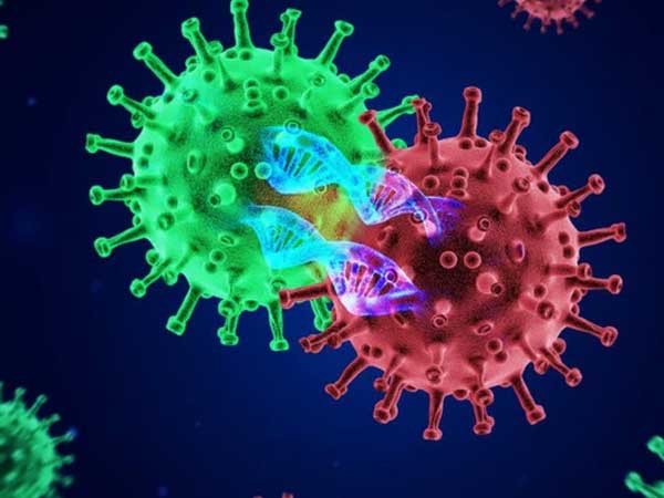Virus đột biến Delta Plus đã lây lan tăng tốc ra 11 quốc gia, dự đoán có thể còn mạnh hơn Delta