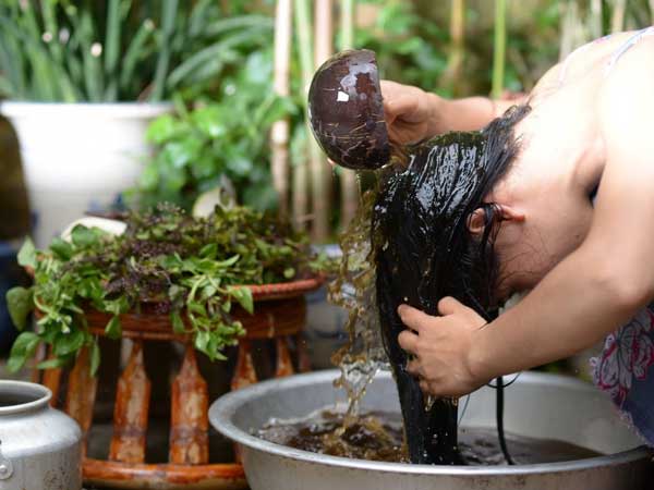 Lạ kỳ thứ cỏ dại mùa hè trở thành tiên dược chữa nhiều bệnh, còn giúp đánh bay ngứa ngáy, mụn mặt