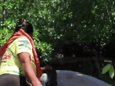Khu rừng độc nhất vô nhị ở Indonesia: Cấm tiệt đàn ông, phụ nữ muốn vào phải cởi bỏ hết quần áo