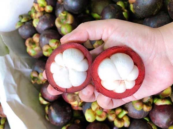 Măng cụt ngập chợ, cách chọn để 10 quả ngon ngọt cả 10