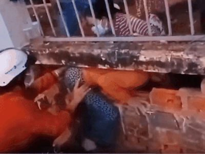 Vụ hàng loạt người tự ý rời Bệnh viện Đa khoa Bình Thuận: Có người leo rào rất nguy hiểm nên bảo vệ mở cổng