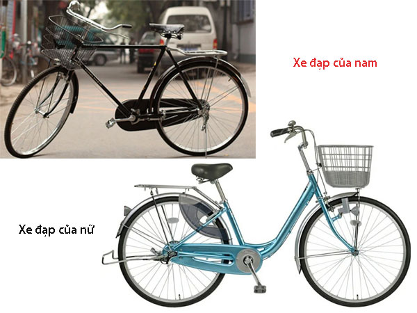 Tại sao xe đạp nam có thanh ngang, xe nữ lại không?