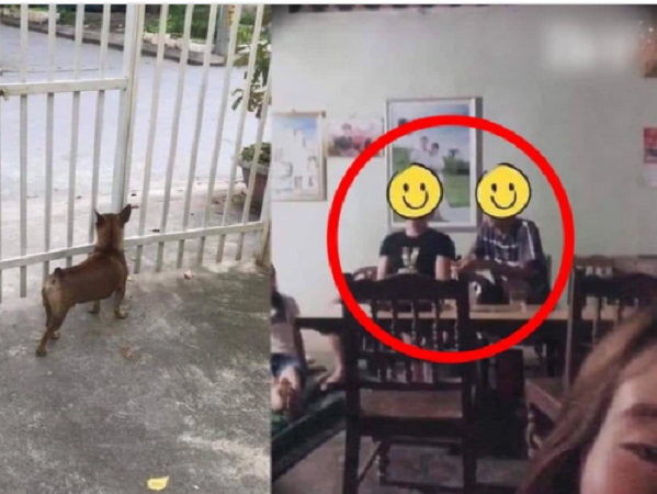 Đến nhà ra mắt, thanh niên không ngờ chiếc cổng nhà hé mở từ trước lại là 'kịch bản' khó tin của bố vợ tương lai!