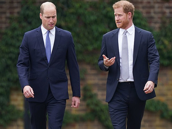 Cung điện bác tin 'nhân viên William thêu dệt về sức khỏe tâm thần của Harry'