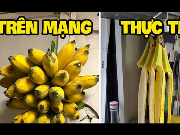 Mua được nải chuối ngon nhưng sợ chín sớm ăn không kịp, cô gái lên mạng tìm cách bảo quản và cái kết khiến ai cũng cười ngặt nghẽo