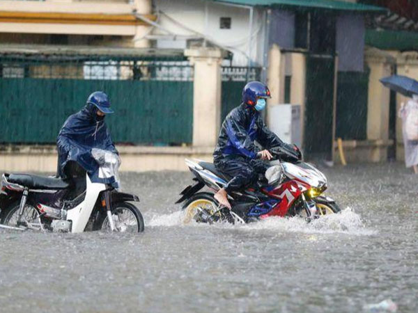 Ảnh bìa bài viết 769667