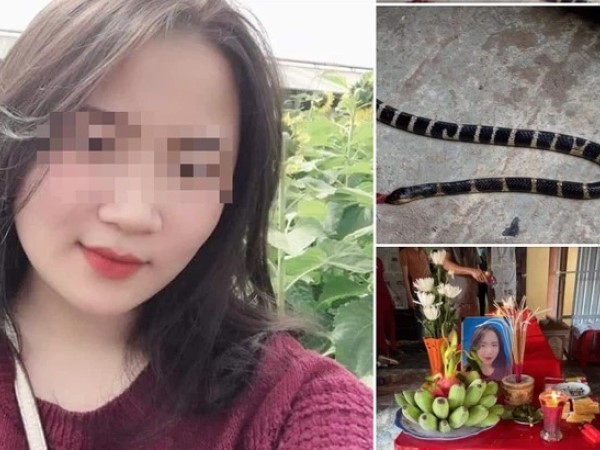 Đang nằm ngủ, cô gái bị rắn độc trốn trong chăn cắn tử vong