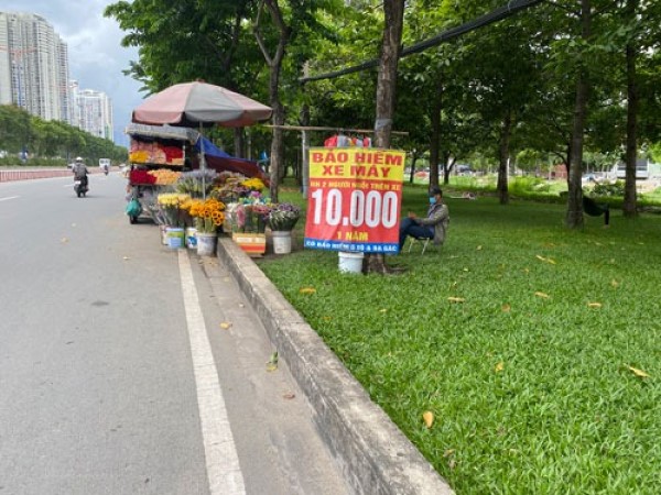 Bảo hiểm xe máy lề đường 'hết đất sống'