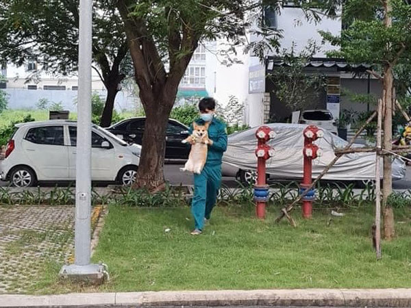 Ham chơi ra đường khi cả khu phố nhà mình đang bị phong toả, chú chó được cán bộ dân phòng cắp nách ngay về với chủ