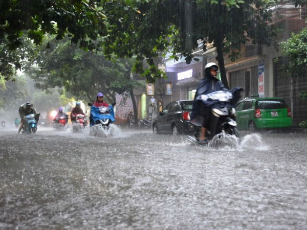 Tuần từ 12-18/7, khu vực Bắc Bộ có mưa rào và dông rải rác