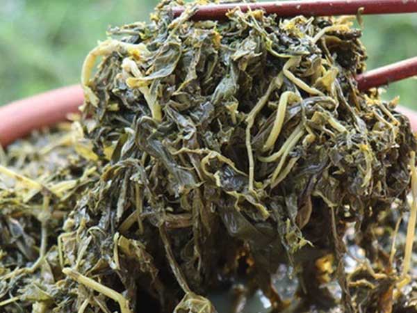 Món rau muối chua dân dã ở Phú Thọ mang về Thủ đô thành đặc sản hiếm có giúp người bán kiếm tiền triệu mỗi ngày