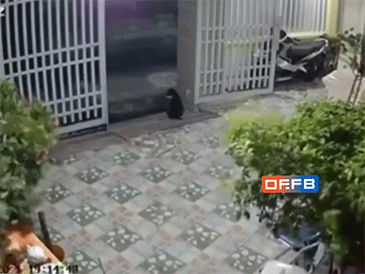Khoảnh khắc thoát chết thần kỳ của 2 bé gái khi chậu hoa rơi từ ban công xuống đất sau cơn gió lớn