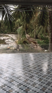 Hí hửng nghe mẹ bảo con dâu 'đừng làm gì hết, lau nhà là được rồi', tới khi chứng kiến toàn cảnh căn nhà cô gái suýt 'khóc ra tiếng Mán'