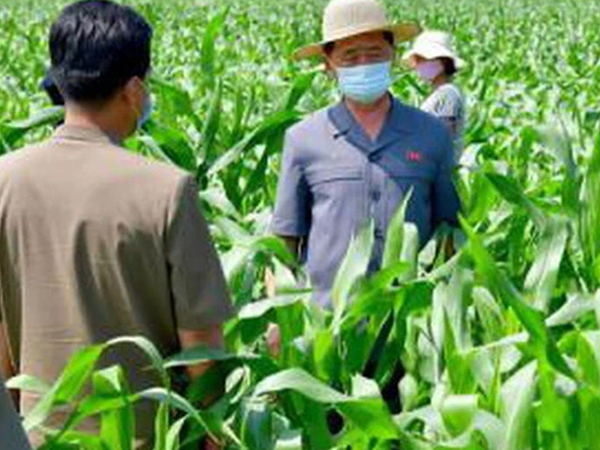 Triều Tiên thừa nhận thiếu lương thực trầm trọng