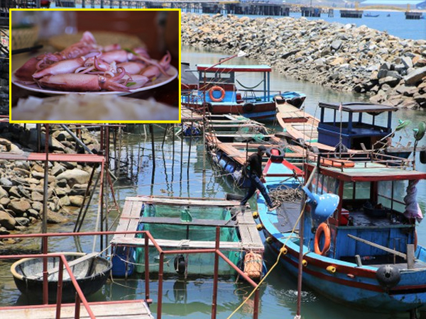 'Phố' mực nhảy đìu hiu mùa dịch