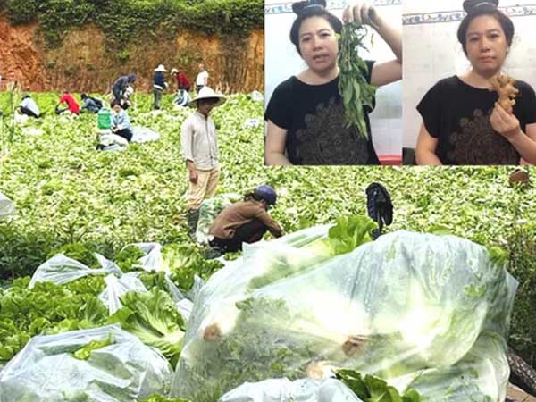 Nông dân tặng Sài Gòn cả vườn rau, sao doanh nghiệp lớn sá gì không chịu hi sinh vài đồng lợi nhuận: Một 'miếng' bình ổn giá thời dịch hơn cả 'gói' khuyến mãi ngày thường!