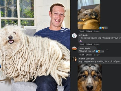 Dù là CEO Facebook, Mark Zuckerbreg cũng bị doạ kick ra khỏi một group vì vi phạm quy tắc