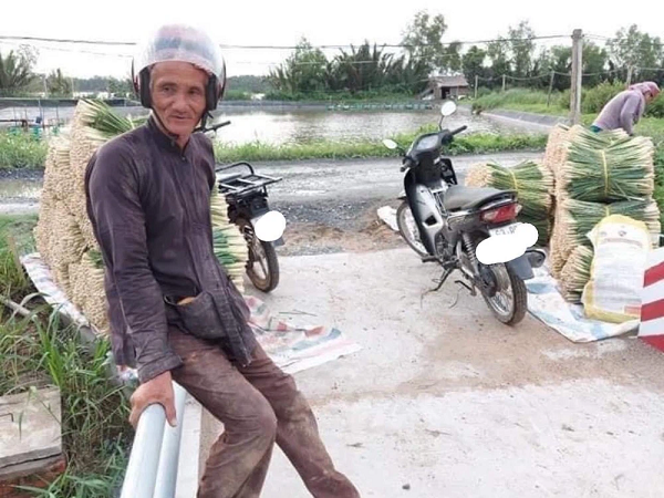 Bác nông dân miền Tây dầm mưa thu hoạch sả tặng Sài Gòn, nhìn cách sắp xếp càng thêm xúc động