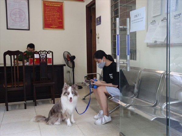 Dắt chó đi dạo, cô gái trẻ bị phạt 2 triệu đồng trong ngày đầu Hà Nội giãn cách: 'Tôi cho chó ra ngoài đi vệ sinh... chỉ ra ngoài 2 phút thôi'