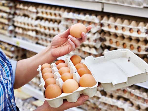 Giải mã hiện tượng trứng gà tăng giá kỷ lục, thương lái tranh nhau mua giữa tâm dịch