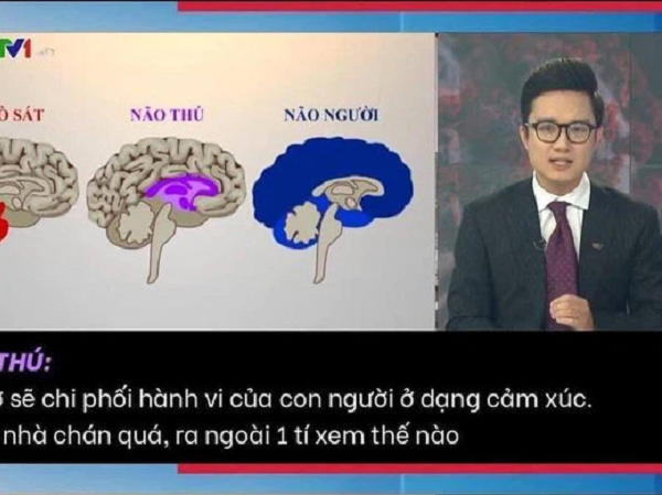 Dân mạng tranh cãi về bản tin ví von 'não người' - 'não thú' của VTV: Đúng tinh thần nhưng sai cách thể hiện
