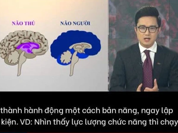 Giữa biến 'não thú' của VTV, MC Trần Ngọc công khai bảo vệ BTV Sơn Lâm: 'Tôi không thích các thành phần ốc chô'