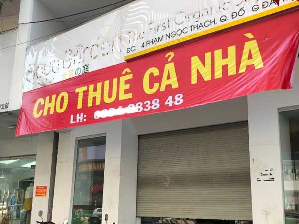 Cơn sóng ập tới: Startup Việt rơi rụng và co cụm