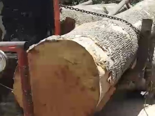 40 người cầm hung khí giải vây cho lâm tặc, cướp gỗ tang vật ở Đắk Lắk