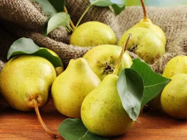 Có một thứ quả xuất hiện nhiều khi trời chớm thu, vừa giúp tăng cường miễn dịch lại làm thuốc siêu hay, mùa dịch bệnh càng cần