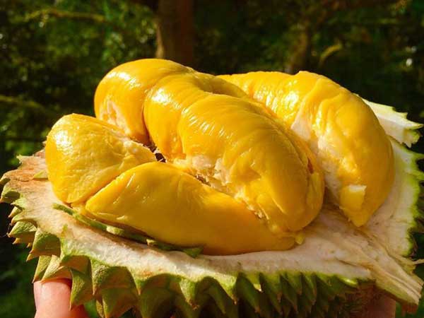 4 nhóm thực phẩm 'đại kỵ' với sầu riêng, tránh ăn cùng nhau để phòng ngộ độc