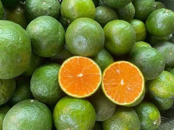 Loại quả giàu vitamin C bán đắt như tôm tươi mùa dịch, giá tăng gấp đôi, khách đặt mua mấy lần đều 'hụt'