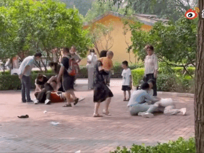 Du khách đánh nhau trong sở thú làm động vật bắt chước theo, cả lũ combat suốt đêm khiến ban quản lý khóc thét