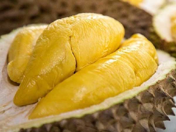 Sầu riêng Việt sang Úc, chưa cập bến đã hết hàng