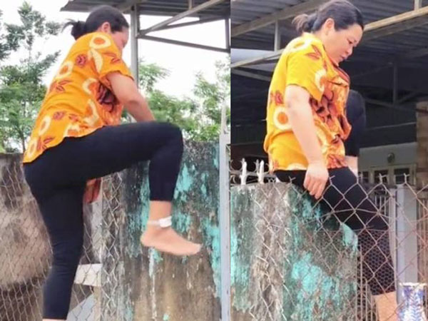 Cả nhà bận đi cách ly, cô hàng xóm trèo tường vượt rào sang cho gà, lợn ăn, trước khi về còn làm một việc khiến ai cũng xúc động
