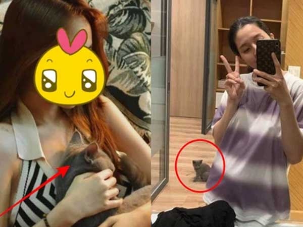 Cùng một bé mèo Jack mang đi tán 2 cô gái, trái ngang đó lại là bằng chứng tố ngoại tình?