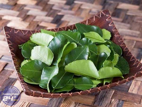 Lá chanh ở Việt Nam mọc đầy vườn, xin đâu cũng có nhưng mang sang nước ngoài bán 6,35 triệu đồng/kg