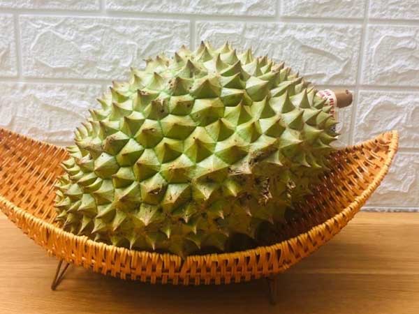 Sầu riêng ở Đắk Lắk chỉ 8.000 đồng/kg và sự thật gây bất ngờ phía sau