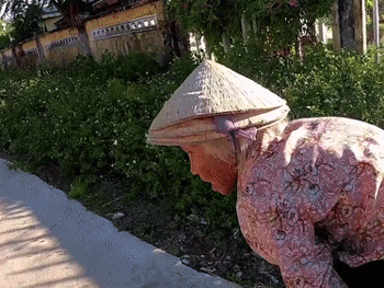 Nhất quyết không nhận 200 nghìn thanh niên lạ mặt cho, thân thế thật của bà cụ bán ve chai khiến ai cũng choáng
