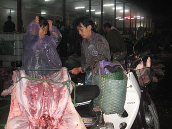 Hà Nội tìm người đã đến hoặc liên quan lò mổ Minh Hiền sau khi bảo vệ và người mua hàng dương tính với SARS-CoV-2