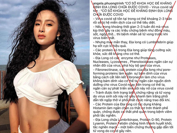 Chia sẻ cách chữa trị Covid-19 bằng bài thuốc không được Bộ Y tế khuyến cáo, Angela Phương Trinh bị dân mạng chỉ trích dữ dội