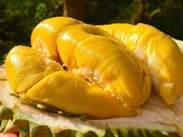 Một mùa ế và lỗ: Thanh long 4 nghìn, na 15 nghìn, cá hồi 120 ngàn/kg